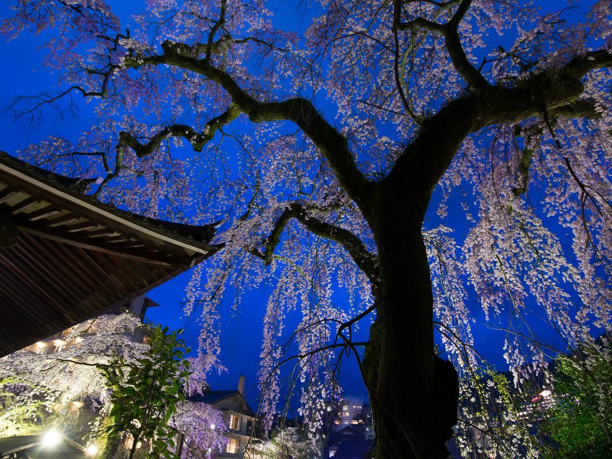Arima Onsen Motoyu Ryuusenkaku Hotel Kóbe Kültér fotó